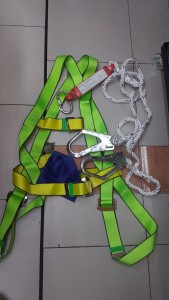 body harness double hook