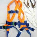 body harness double hook