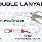 absorber double lanyard