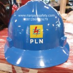 helm custom PLN